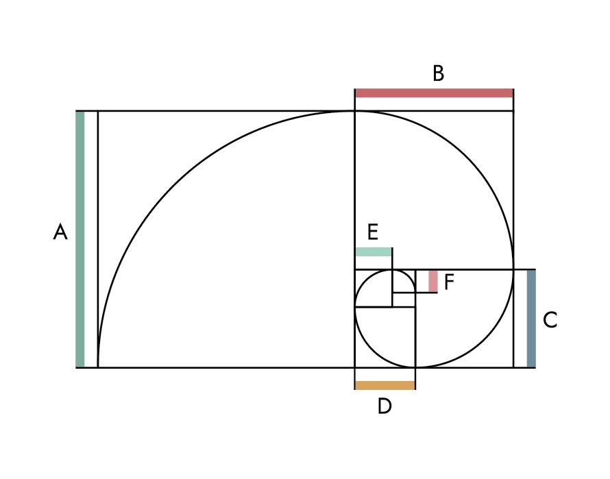 Branding autorstwa Euflonica Klaudia-Grochowska-Pawłowicz marka Knitting Rex golden ratio złoty podział